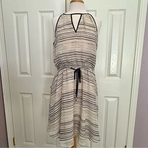 NWT Banana Republic Elegant Black and White Striped Dress